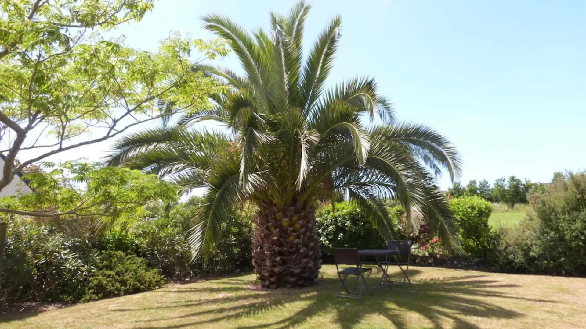 Villa Lumineuse 1Km De La Plage Loctudy France